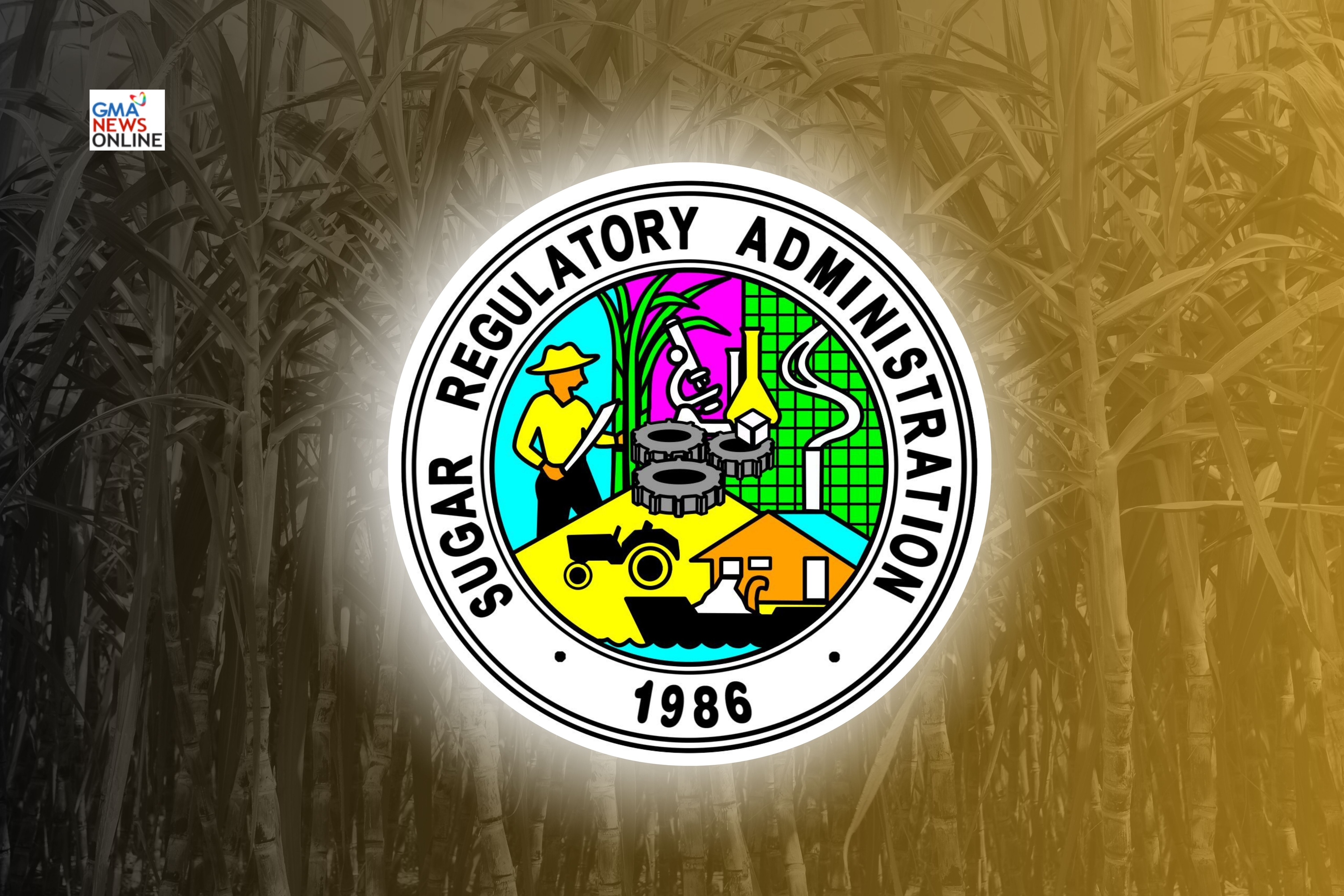 Pest infestation expands to 1,505 hectares of sugar farms —SRA