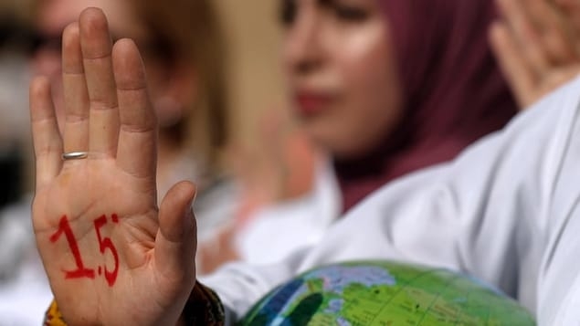 After the puzzling warmth of Earth in 2023 and 2024, what could 2025 have in store?
