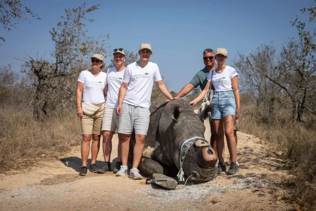 Study reveals cutting off rhino horns significantly reduces poaching
