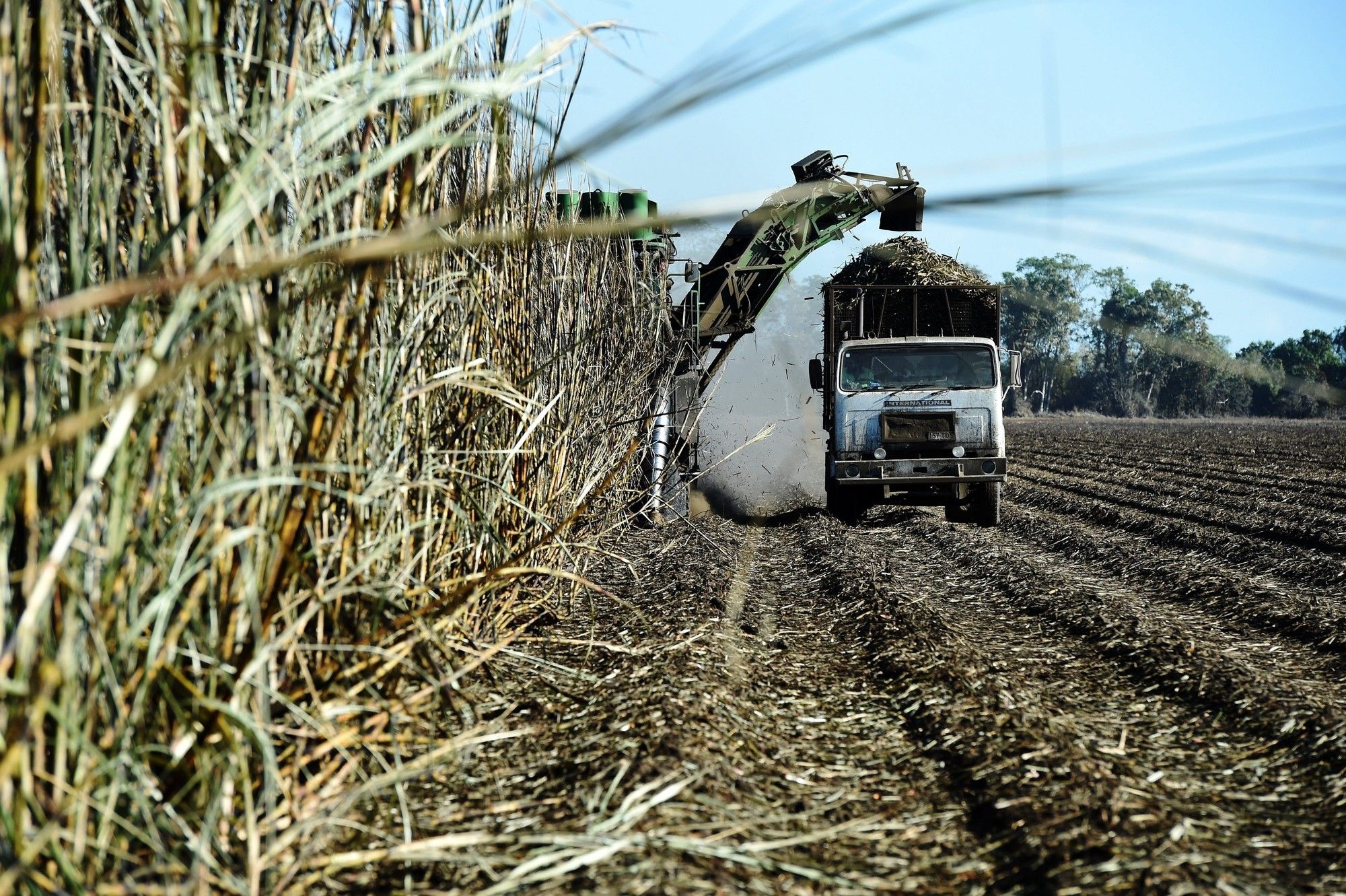 SA Canegrowers warns against job losses caused by sugar imports
