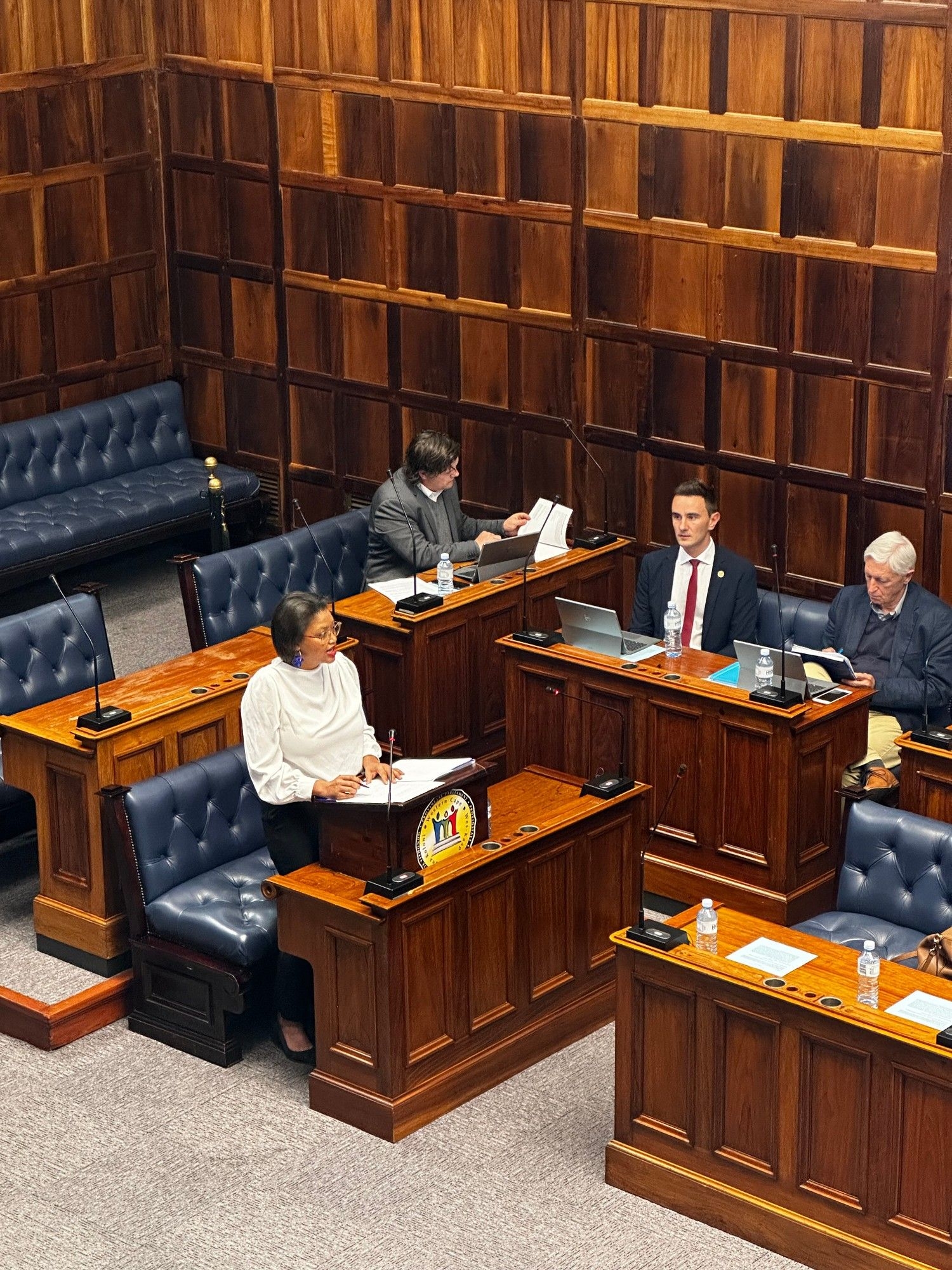 Western Cape Finance MEC ensures stability with R89. 3 billion budget despite national challenges