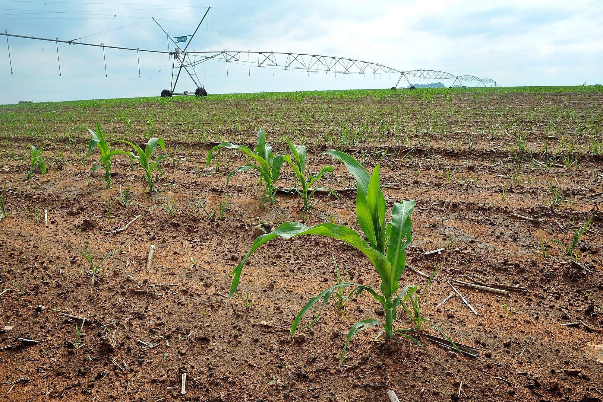 Deputy minister urges urgent action to combat desertification and land degradation