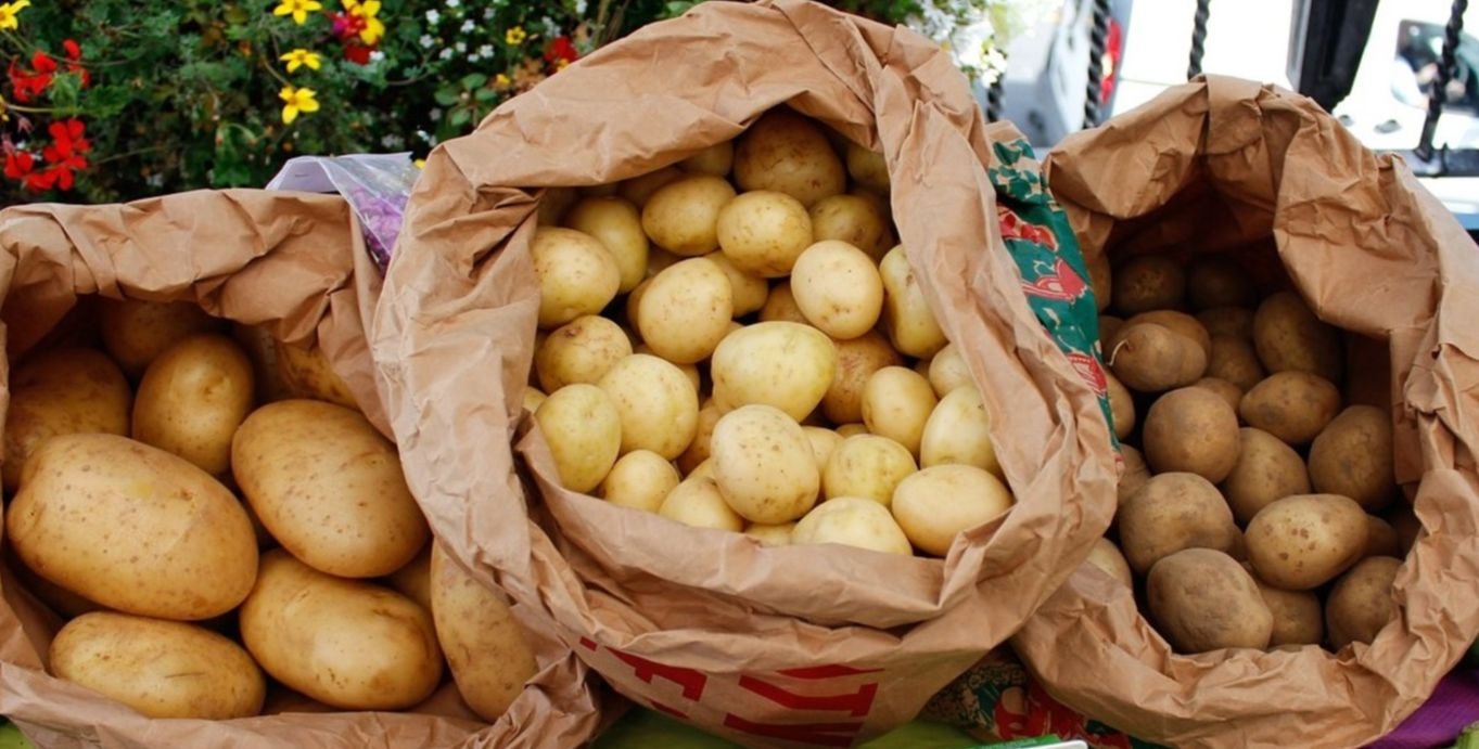 Potato supply in South Africa: What a Cape Town restaurant's Instagram post got wrong
