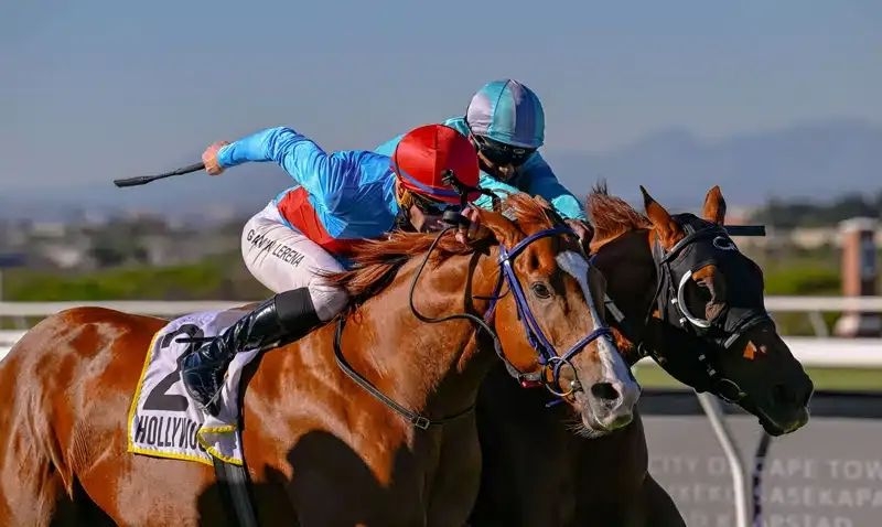 Piet Steyn's gelding Garrix aims for a clean sweep in the Listed Pocket Power Stakes