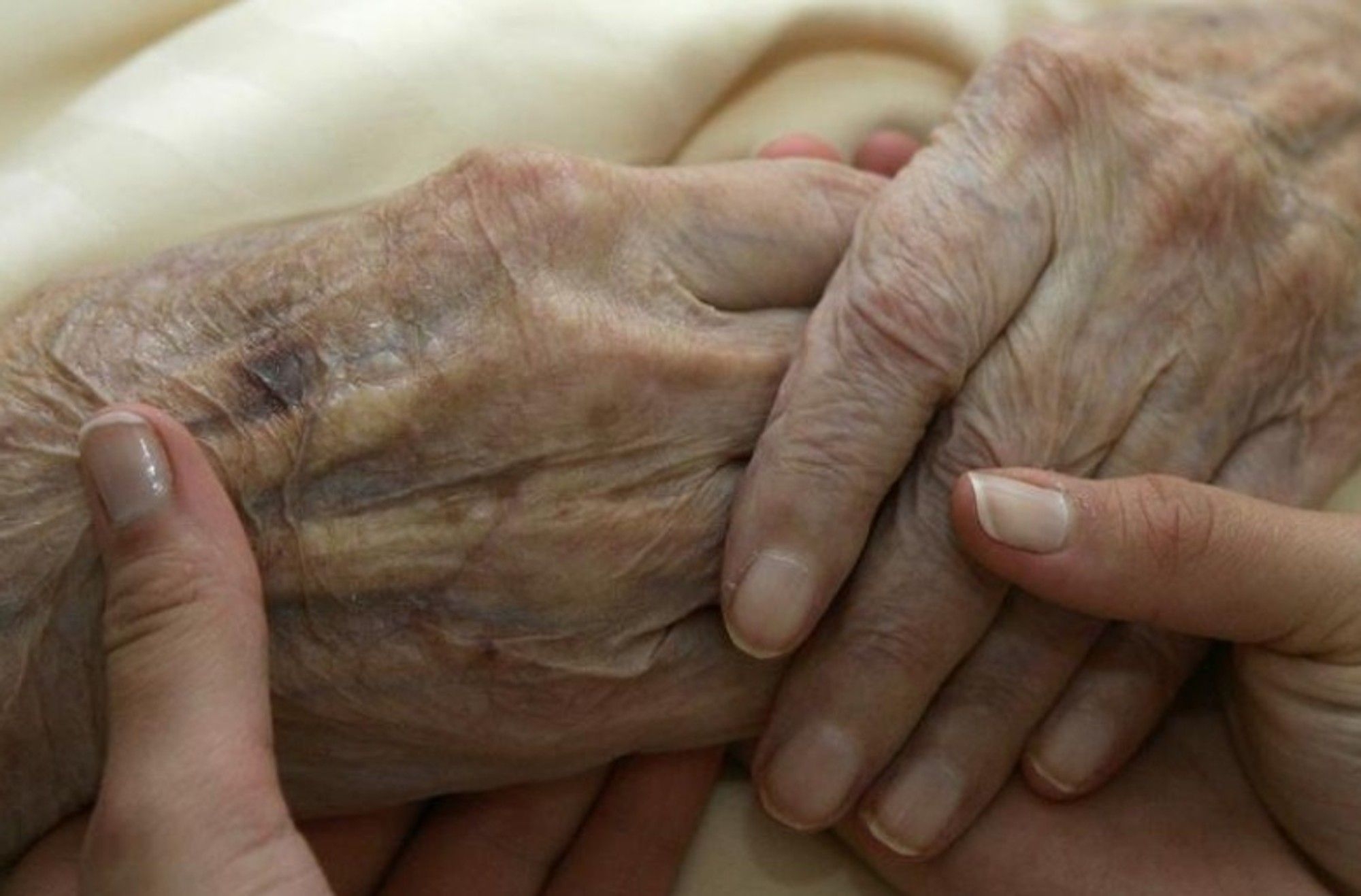 Honouring elders is a daily commitment