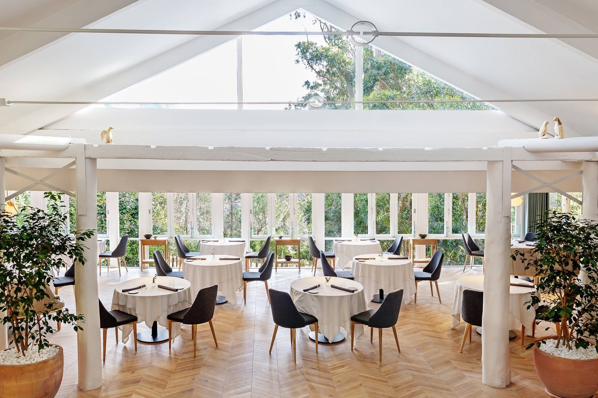 Three renowned Cape Town eateries shine on the 2025 World's Best Restaurants list