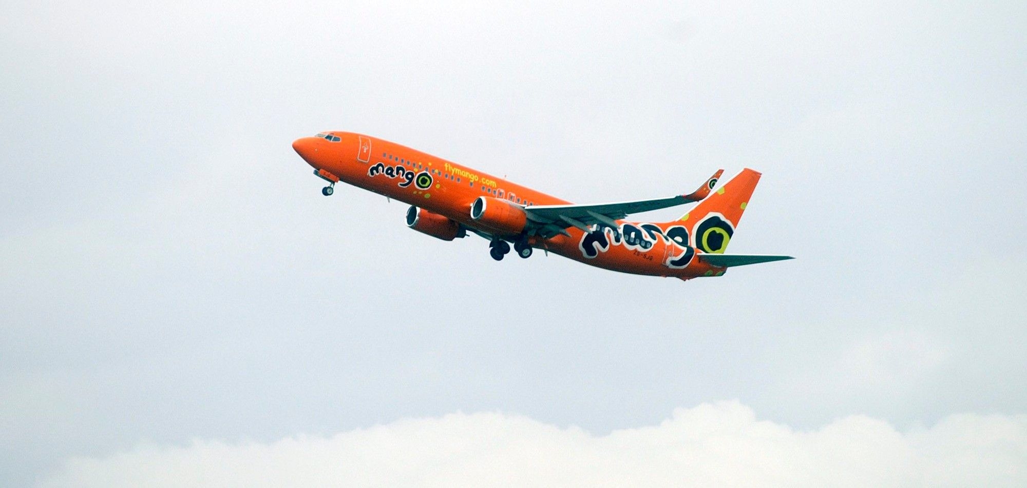 Court halts Mango airline's business rescue plan