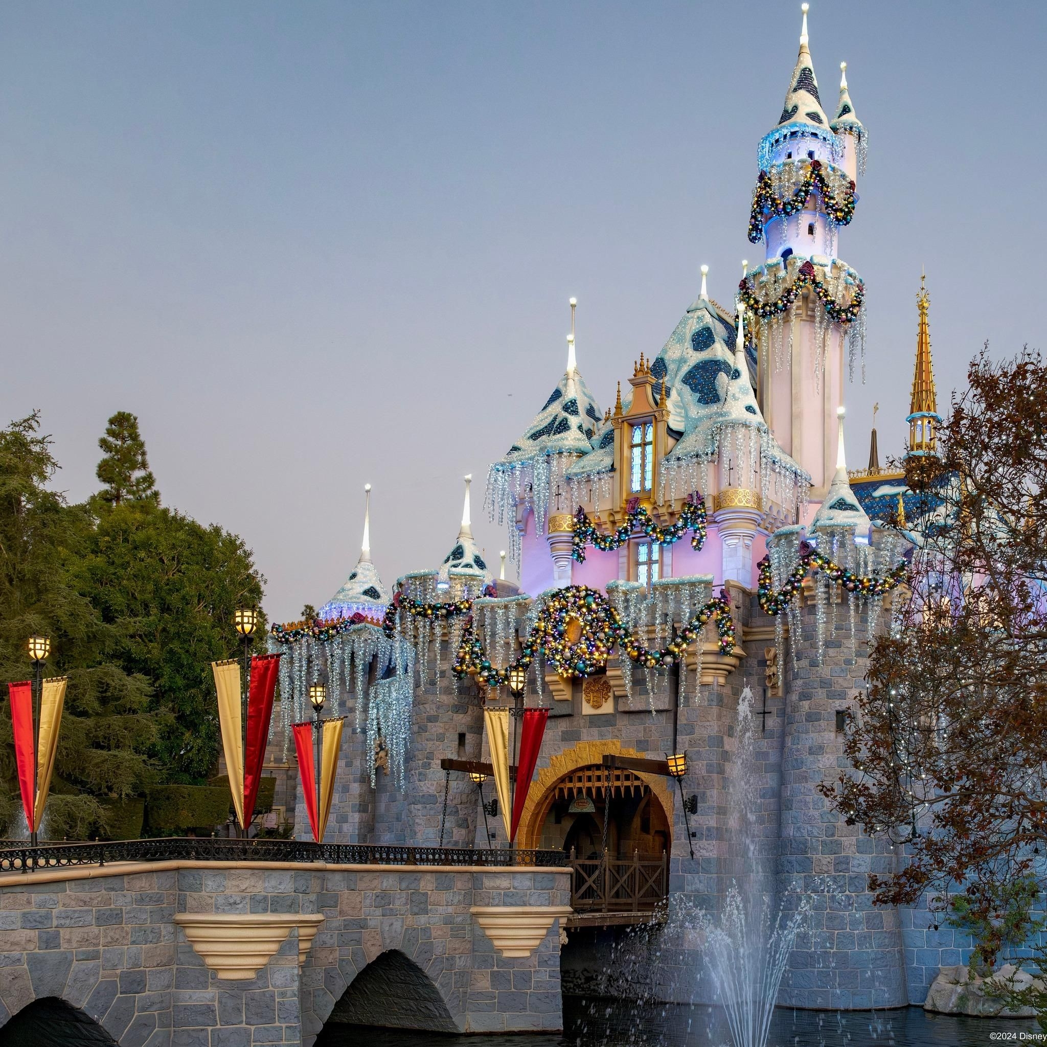 French police probe fake Disneyland 'marriage' with nine-year-old