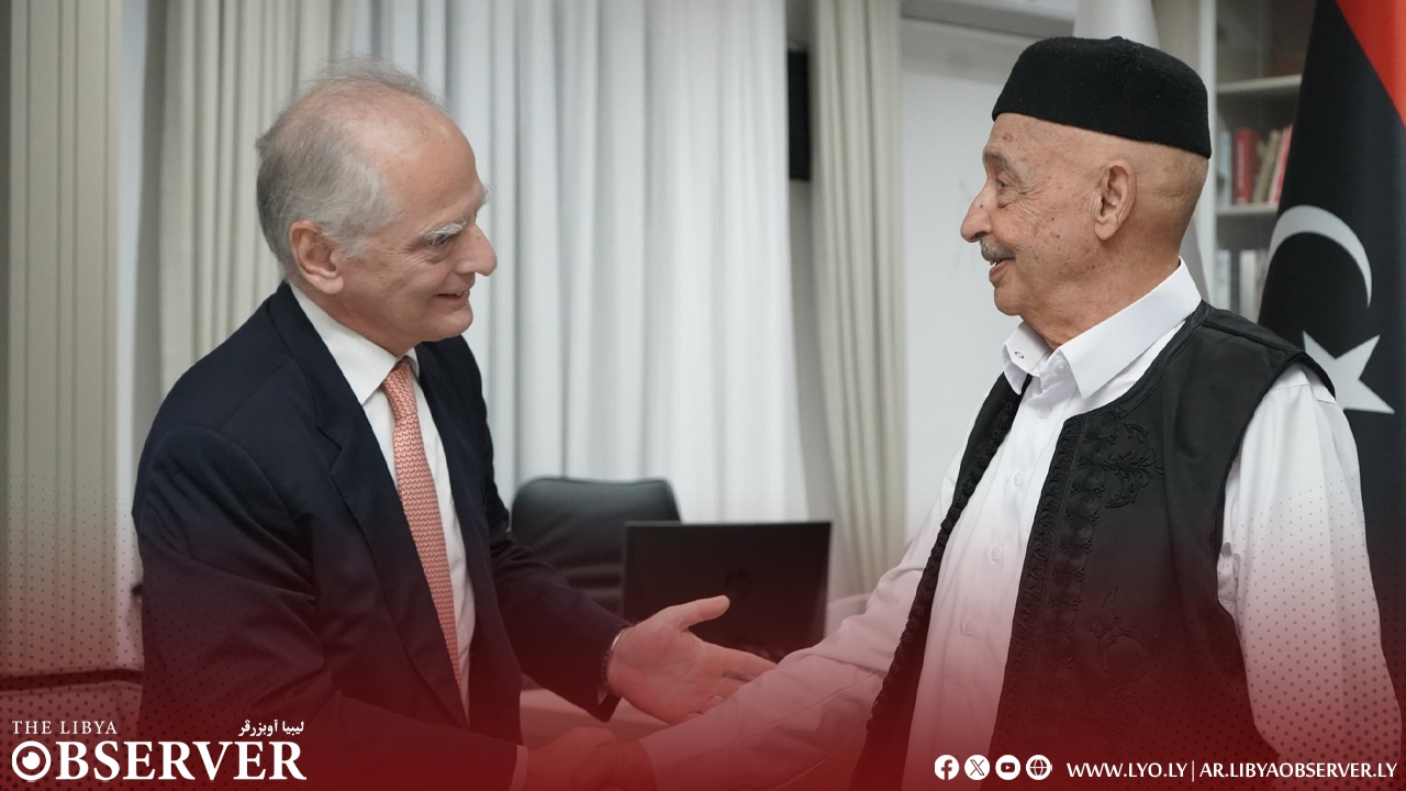 Saleh, Greek ambassador discuss path to ending political crisis
