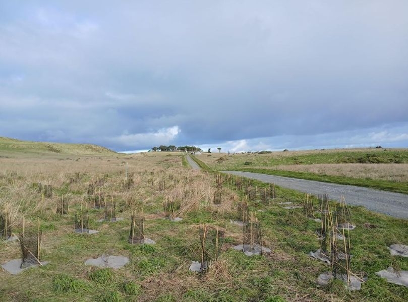 Green Fire Break To Protect Baring Head/Ōrua-pouanui With Nature-Based Solution