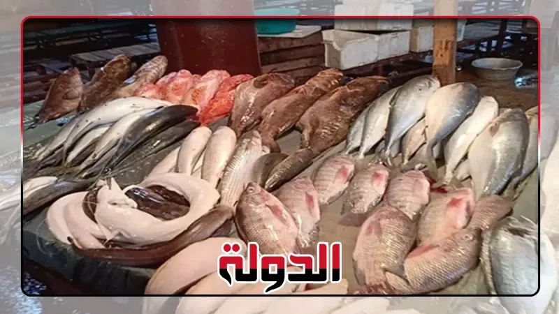 تابع أسعار الجمبري والسمك في الأسواق المصرية اليوم 20 يونيو