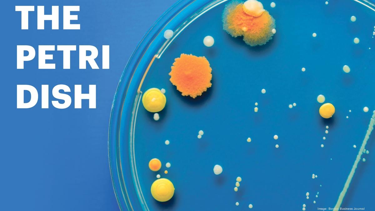 Petri Dish: Turkish firm backs Harvard lab, Isomorphic opens in Cambridge