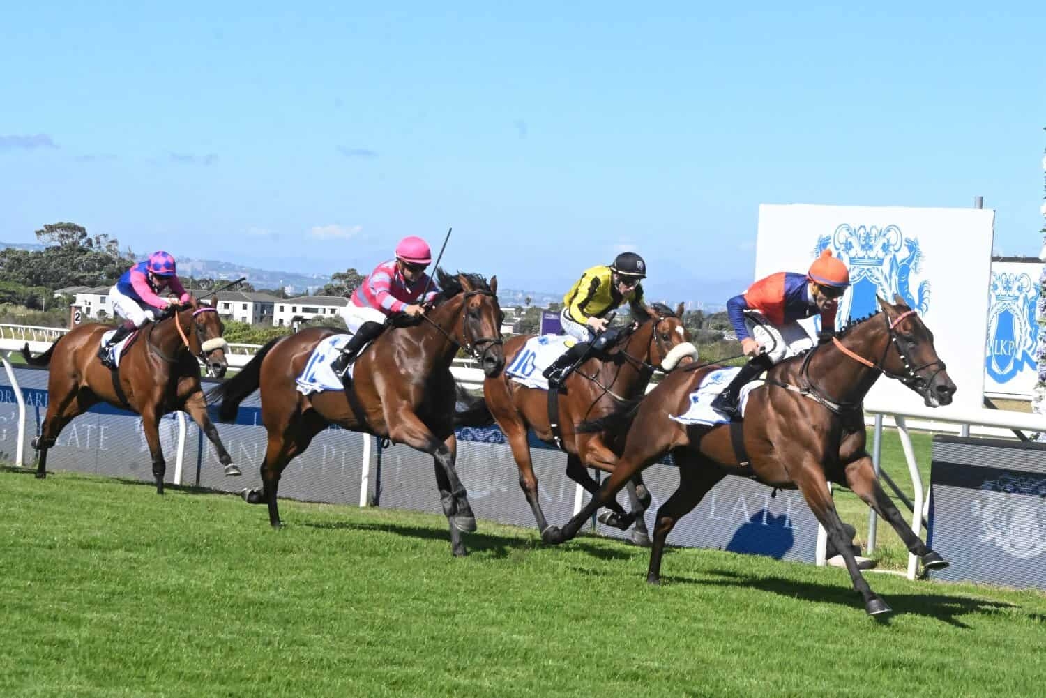 Dopamine aplenty on offer this weekend