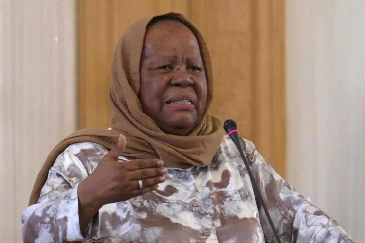 Naledi Pandor contniues to receive threats, 'they never stopped'