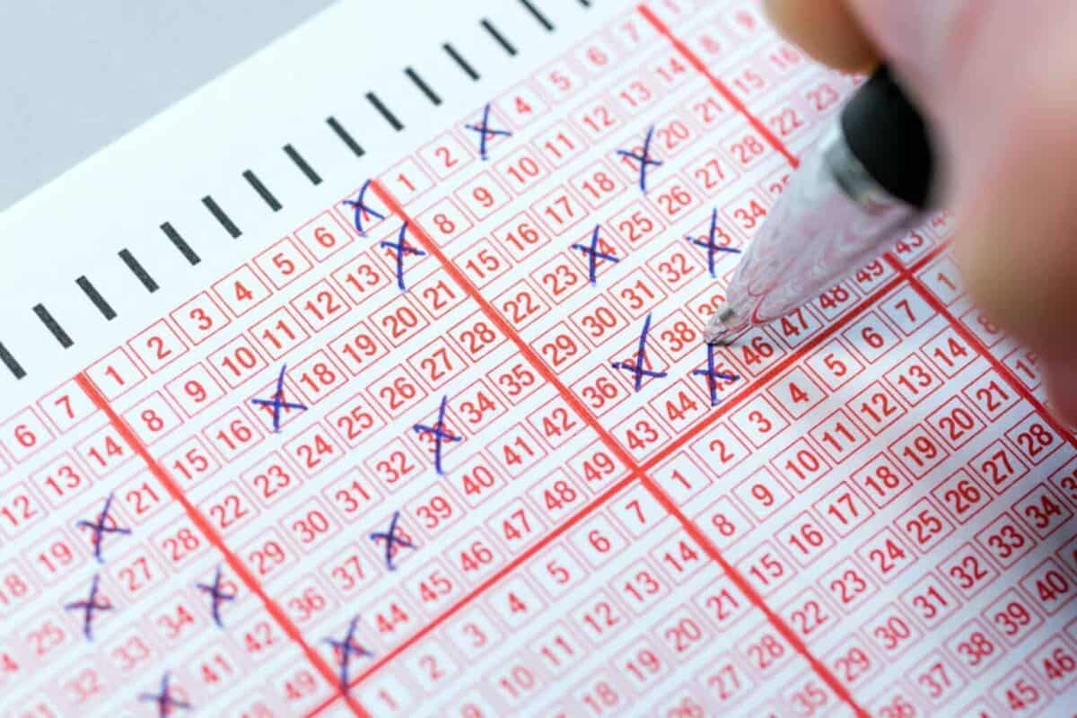Lotto and Lotto Plus results: Wednesday, 18 June 2025