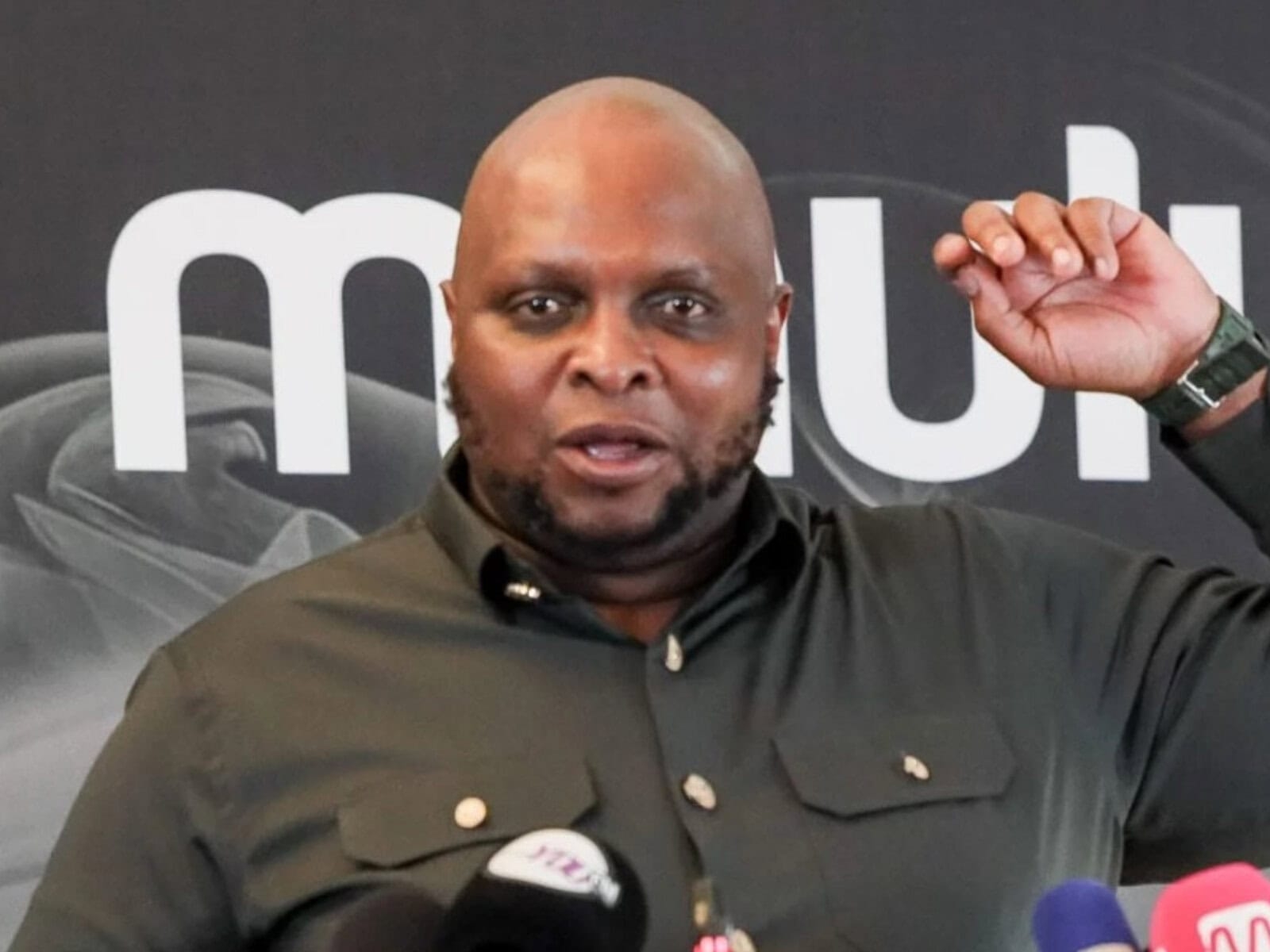 Shivambu makes public appeal for progressive volunteers