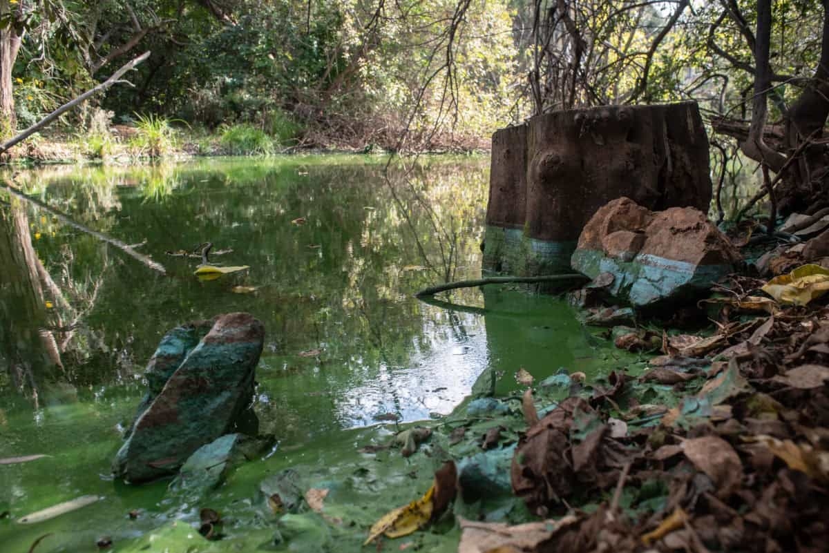 Centurion's Hennops River clean-up gains momentum