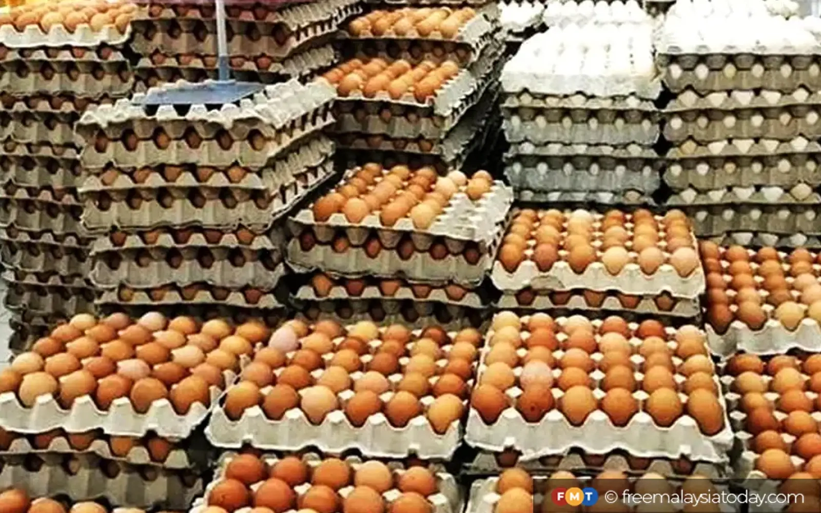 ‘Eggs-traordinary' boost for Malaysian poultry stocks