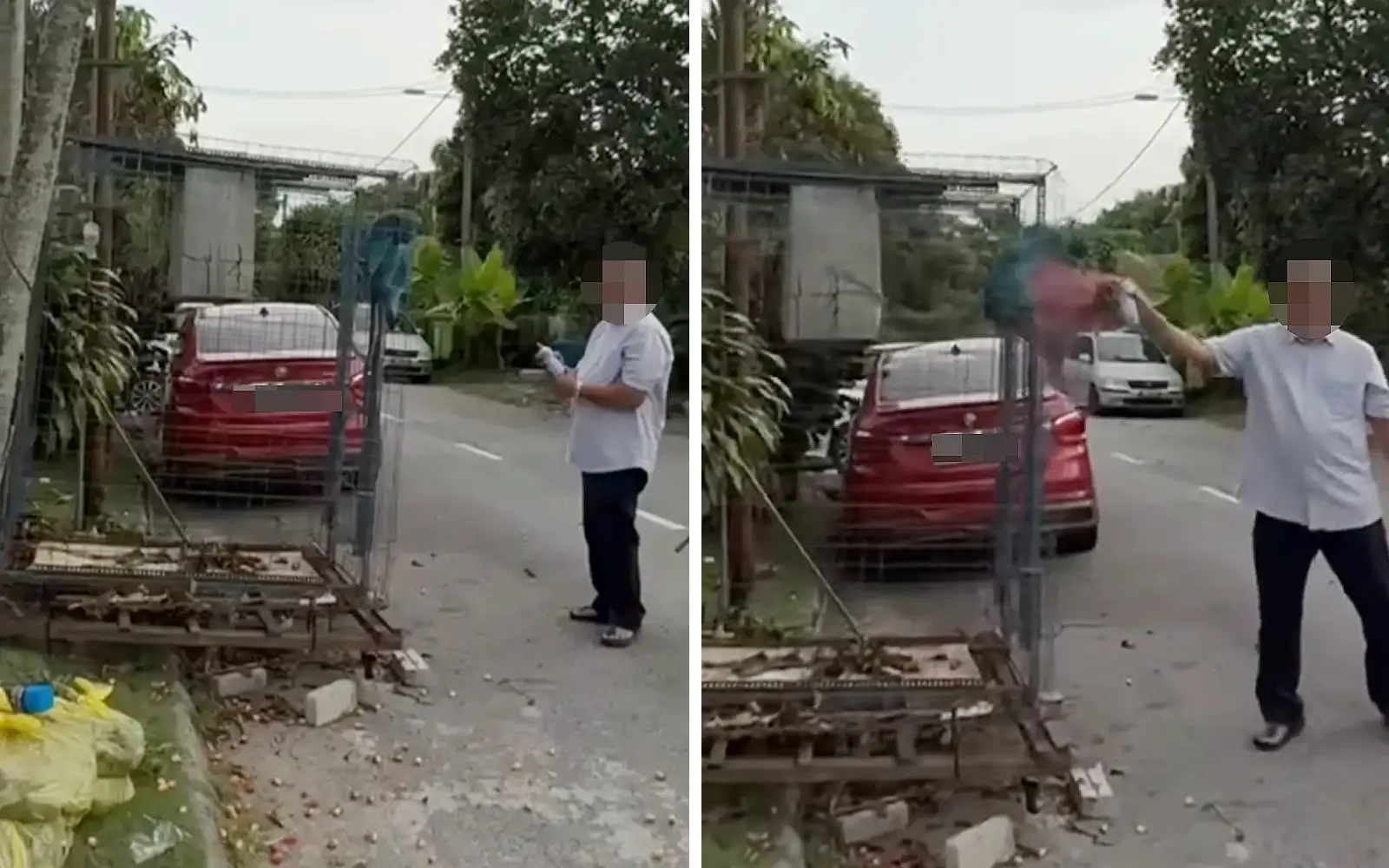 NGO calls for probe after caged monkey sprayed with paint