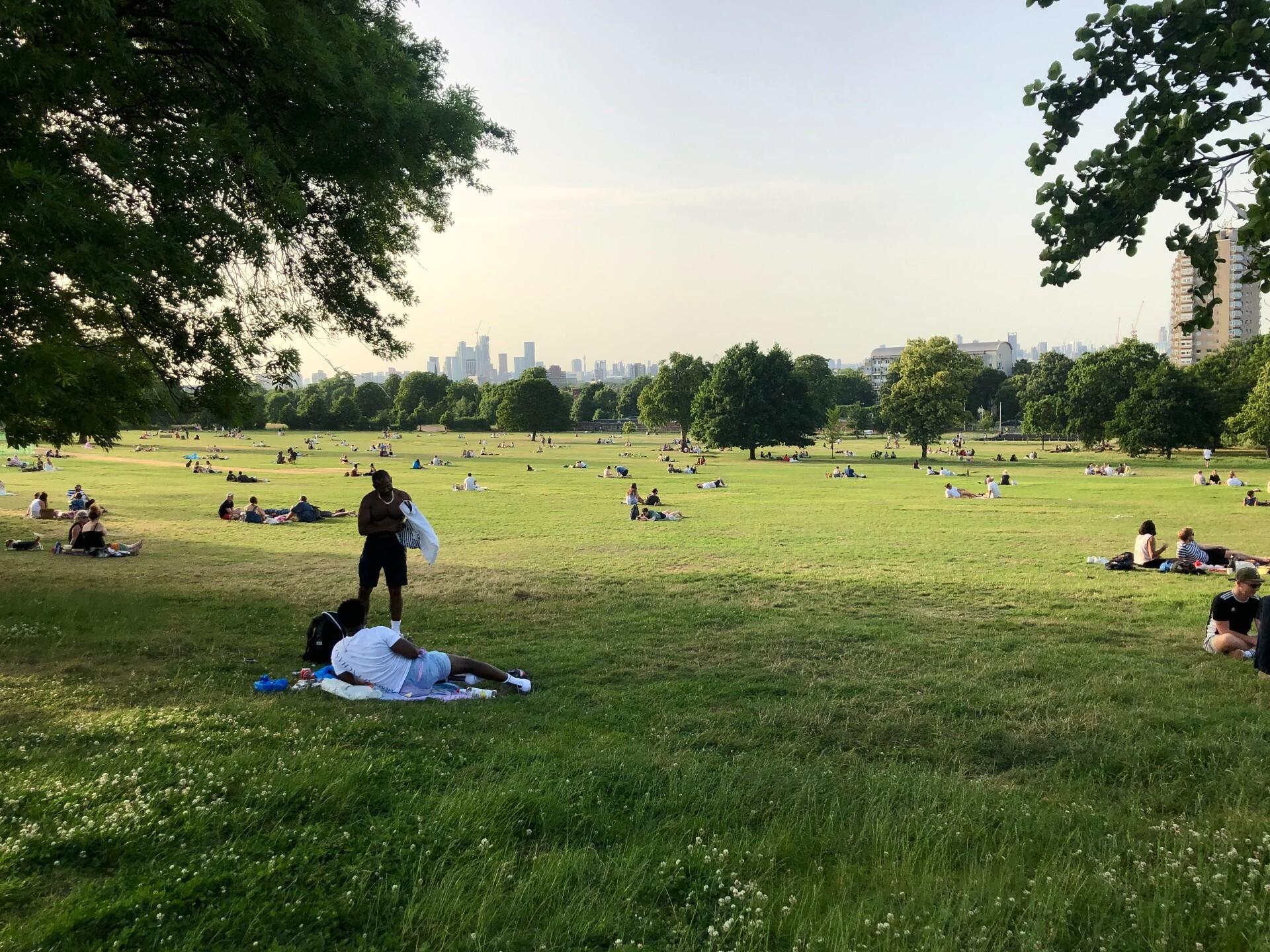 Campaigners have launched a legal challenge against music festivals in Brockwell Park
