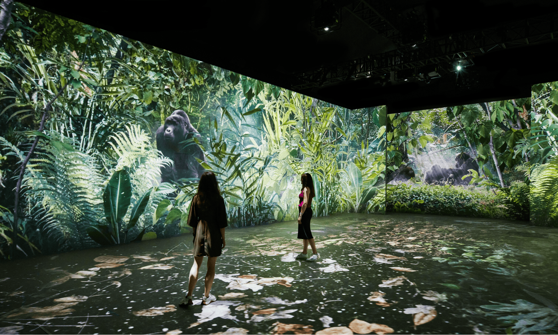 Our Story with David Attenborough