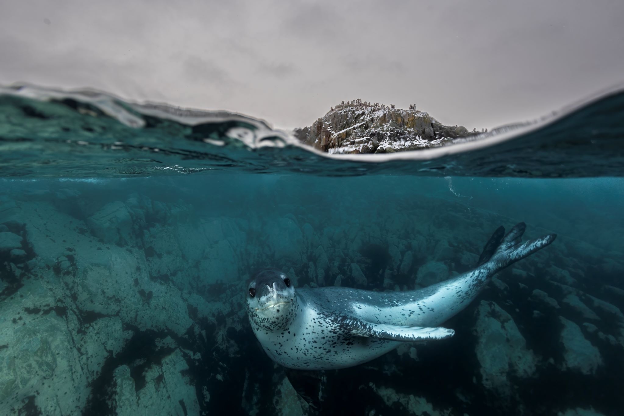 All the spectacular winning shots of the UN World Oceans Day photo competition