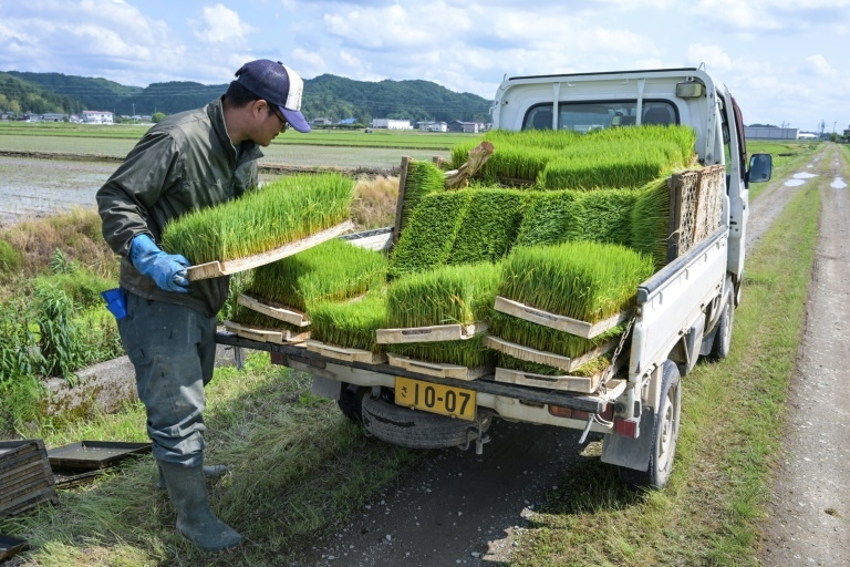 Rice prices double in Japan as inflation accelerates