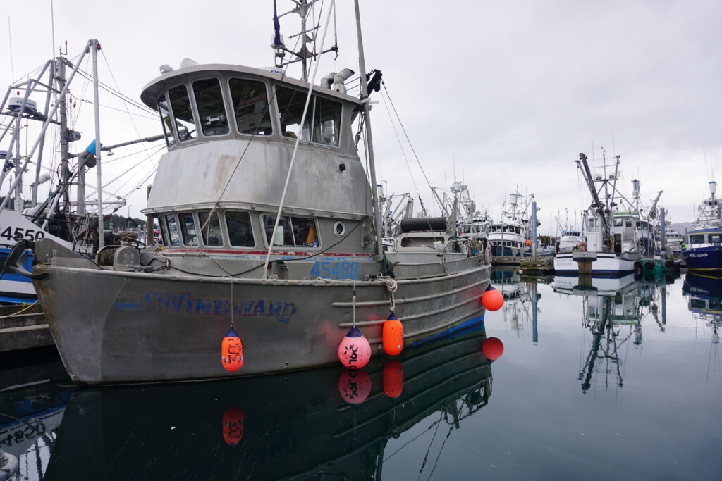 NOAA firings, cuts will reduce services used to manage Alaska fisheries, officials say