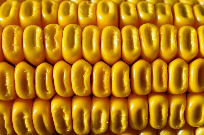 Corn Extending Gains on Friday Morning