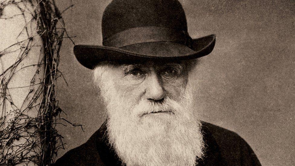 Darwin's documentary archive recognised by Unesco