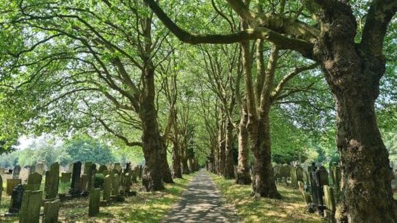 Cemetery becomes city's latest nature reserve
