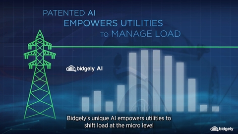Bidgely's EV Intelligence Awarded 2025 Top Product of the Year from Environment+Energy Leader