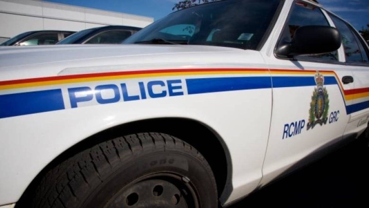 2 dead after plane crash near Vermilion Airport: RCMP