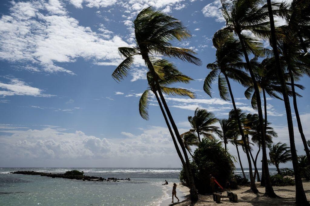 French scientists discover new blood type in Guadeloupe woman