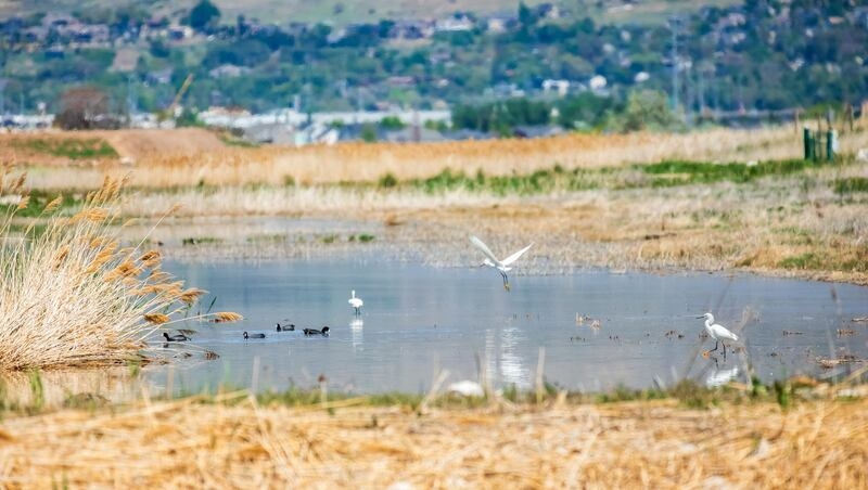 You'll soon need a license to enter these Utah wildlife management areas