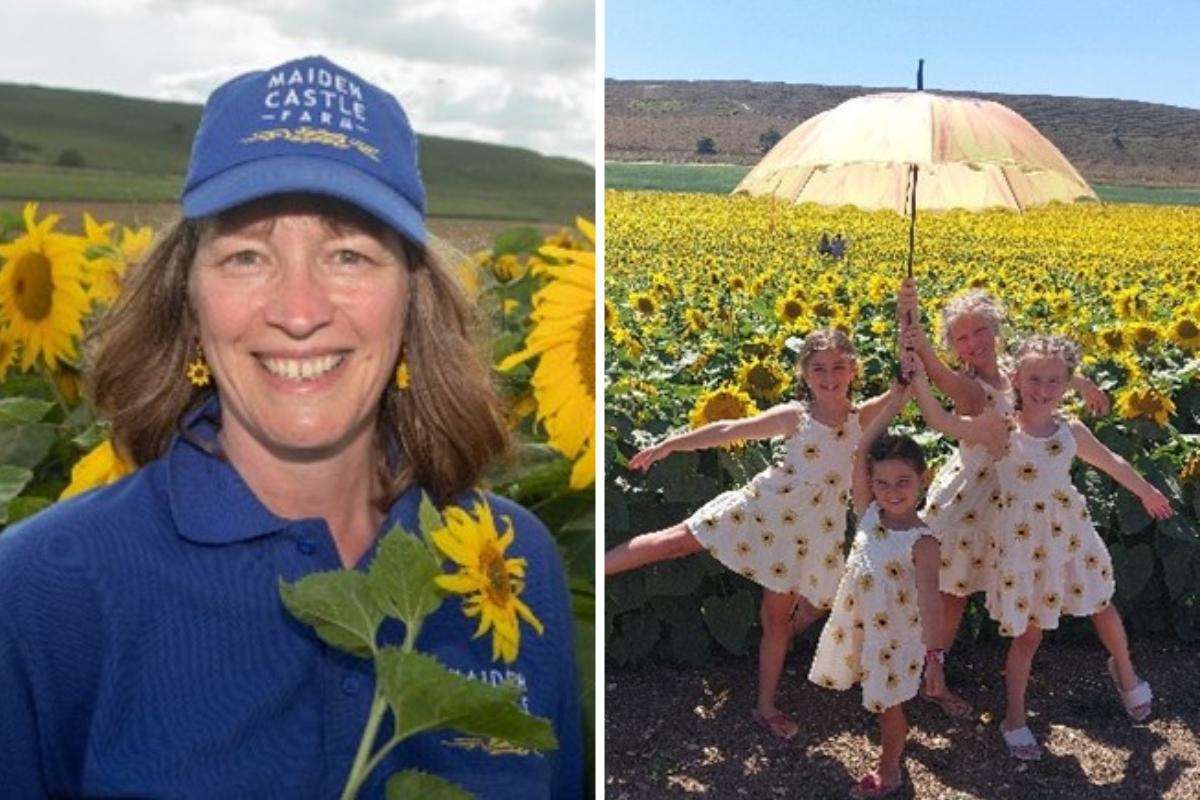 Sunflower Trail to return 'bigger and brighter than ever'