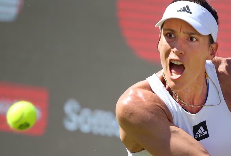 Petkovic says betting a reason for online hate against tennis stars