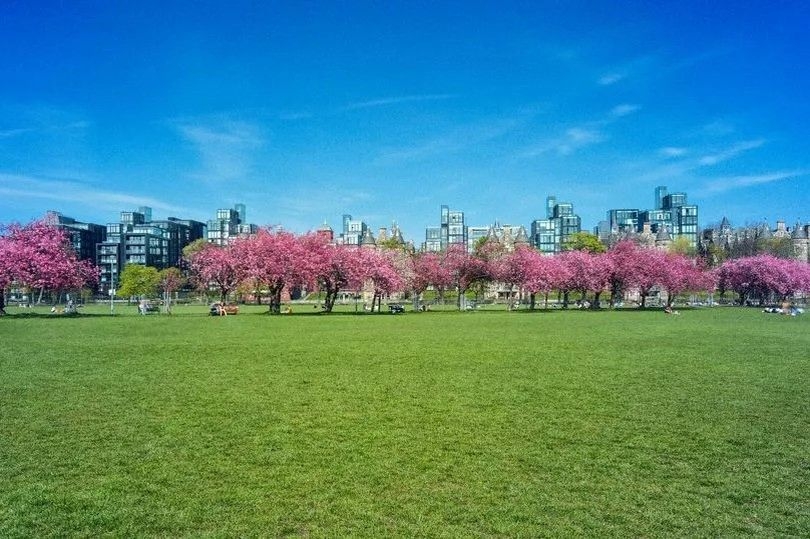 Rare 'pollen bomb' to strike Edinburgh as temperatures set to hit 27C