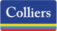 Colliers publishes 2024 Global Sustainability Report