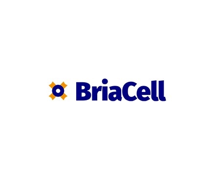 BriaCell Announces Completion of 15:1 Share Consolidation