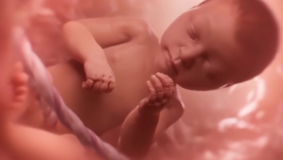 Bill filed to show Baby Olivia gestation video in Arkansas health classrooms