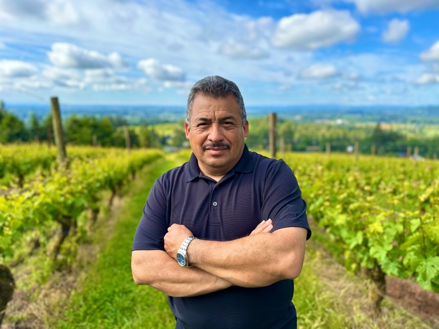 Newberg vineyard workers arrested in targeted ICE raids: Salinas