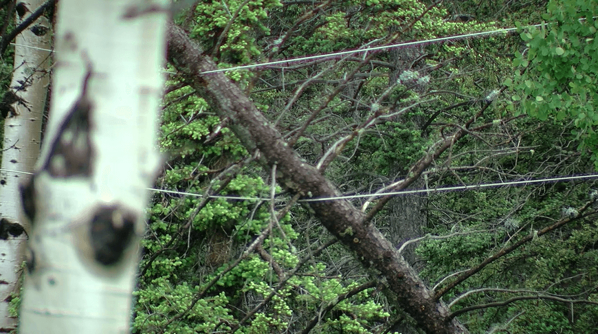 Storm damage in Teller County
