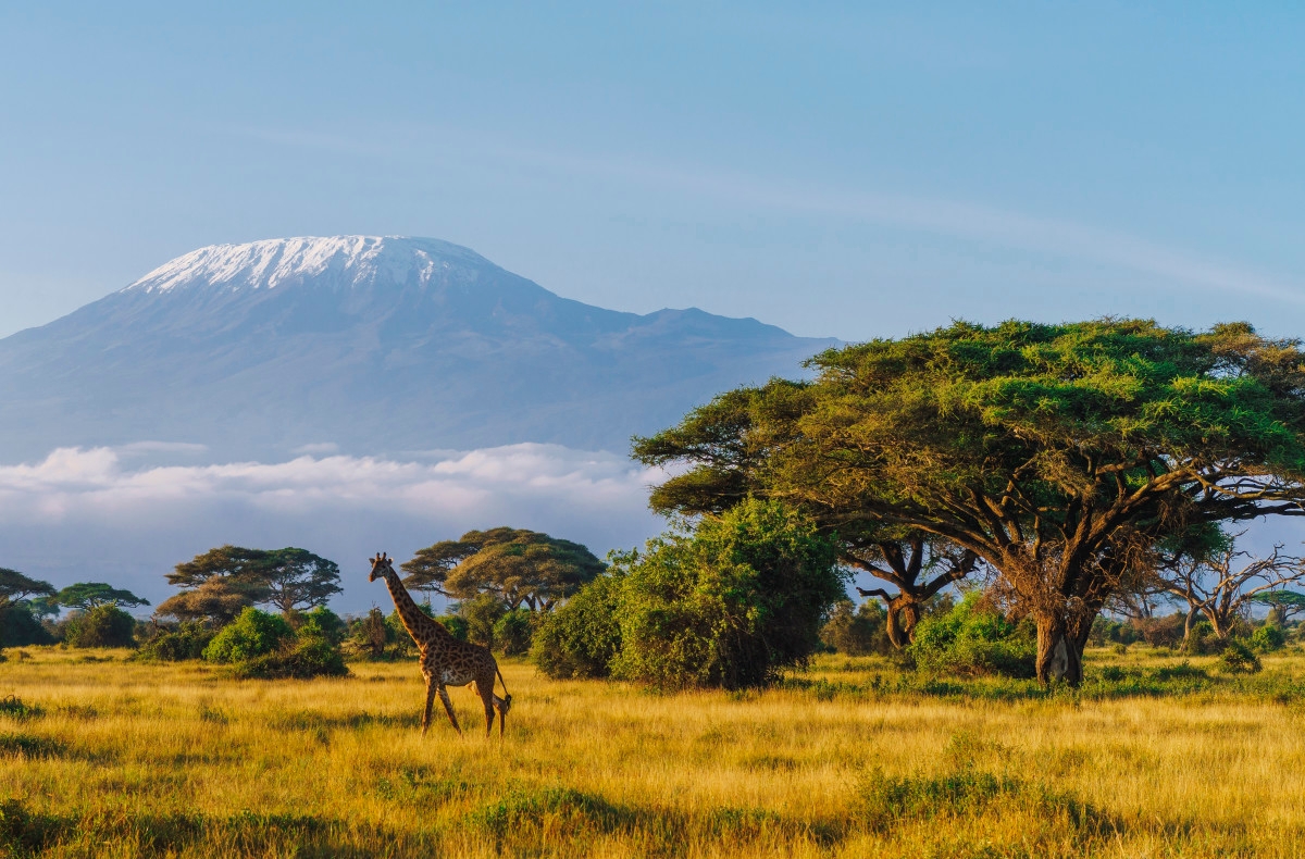 Study Finds 'Huge Surprise' About Ancient Humans in Africa