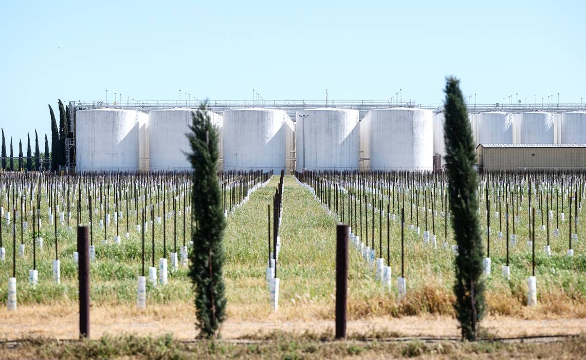 Stanislaus-based winery announces 146 more layoffs. First wave was 81