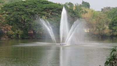 Pioneering Sustainable Solutions: The Art of Living's 4R Approach