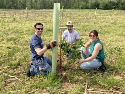 Potomac Edison Employee Volunteers Plant 2,000+ Donated Trees in Maryland and West Virginia