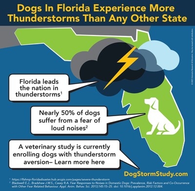 SEEKING DOGS WITH EXTREME FEAR OF THUNDERSTORMS FOR VETERINARY STUDY IN FLORIDA