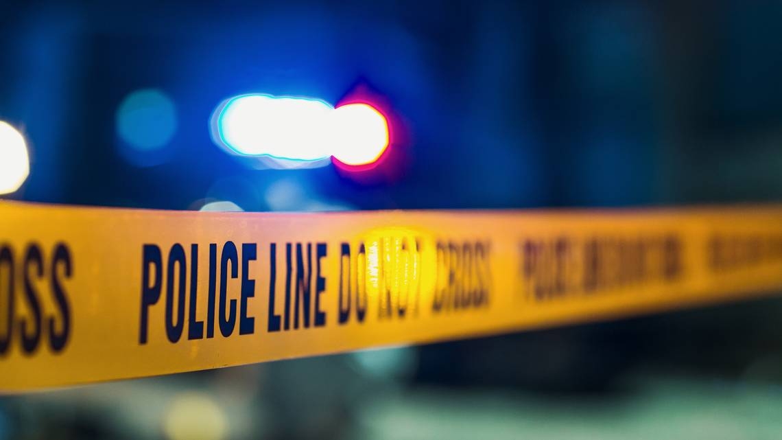 Logging company workers discover human remains in Plumas County