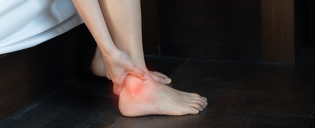 Huge Study Reveals Where Gout Comes From, And It's Not What We Thought